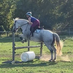 Meet your Posher, Eva